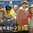 플레리르