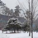 해송초등학교 앞 이미지