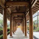 (주)호텔롯데 롯데리조트제주 | 부여 롯데리조트 조식 뷔페 내돈내산 본디마슬 가격 후기