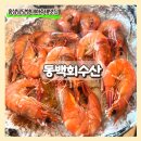 홍성 횟집 동백회수산 동백세트 지금은 남당항대하축제중
