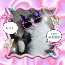 제일빌딩(2층 허준이비인후과) | Archive.Jul