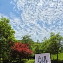 악양생태공원(숲속놀이터 옆) 이미지