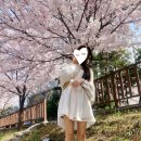 허니벌룬 이미지