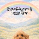 무지개 동산 | 펫로스 사연 : 무지개동산에서 온 지오의 답장