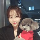 한영 이미지