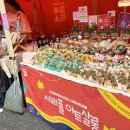 서리풀문화광장1 이미지