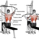 컴포트 짐 이미지