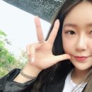 섶섬 아우룸 이미지