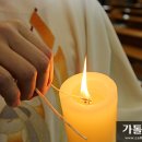 빛과 소금 이미지