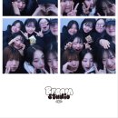 푸들푸들 이미지