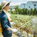 종합농약종묘사 이미지