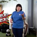 씨러스 이미지