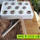 식탁위의텃밭 이미지