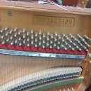 에버빌피아노교습소 이미지