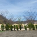 별빛든쉼 이미지