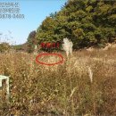 포항시남구19 이미지