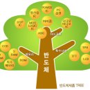 [반도체 이야기] 13. 반도체의 활용과 제조공정 이미지