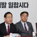 주호영 카카오 검색결과