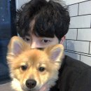 Just Grooming 이미지