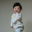 꼬노꼬노 이미지