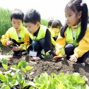 꽃초롱자연학습장 이미지