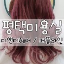 디앤디헤어 이미지