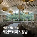 세인트빌딩 | 서울 신상밝은홀 세인트메리스강남 상담후기