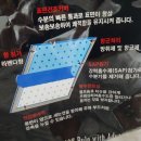 주식회사 펫더맨 네이버블로그