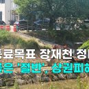 장재천 이미지
