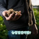 시티행정사사무소 이미지
