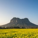 매화2공원 이미지