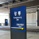 세븐일레븐강릉송정점 | 강릉 국내여행 여자혼자 뚜벅이 1박2일 1일차