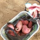 금호농원 이미지