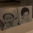 푸르나헤어 | 오브라마에스트라 스튜디오 촬영후기 (헤움/스텔라드마리에/시선헤어메이크업) + 웨딩촬영 준비물 체크...