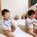 돌 전에 걷는거니 : 50-52주