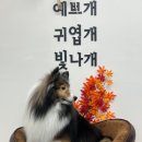 올리스 일산백석점 이미지