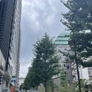 도쿄 시부야 파르페, 스시 맛집 추천 - 쇼핑까지 한번에