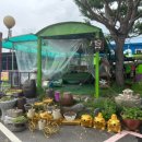 막줄래국시 이미지