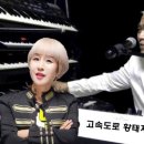 풀잎 이미지