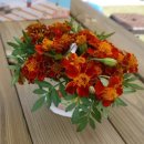 샘말농장 이미지