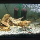 고기나라 이미지