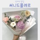 리리플레르