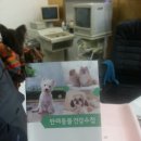 필립동물병원 이미지