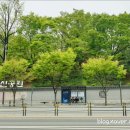 단골커피 - 동작구 등용로14길 61 | 단골커피
