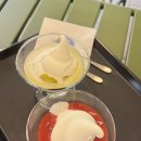 부산시청 카페브로 상하목장 아이스크림 후기🍦
