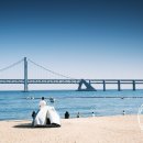 주식회사 부산광고 Daum카페