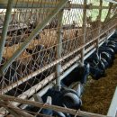 누리농장 이미지