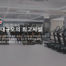 레디짐 이미지