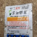 재당숙 묘소 풀뽑기 이미지