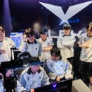 주식회사 세일글로벌 이미지